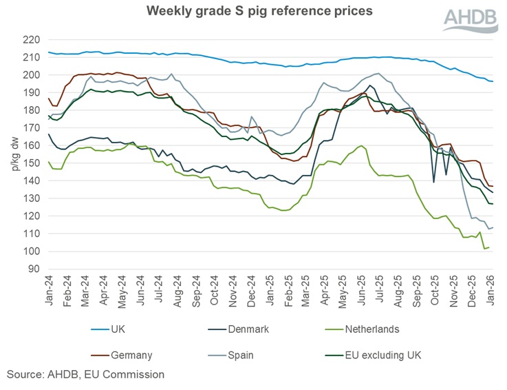 Graph showing EU grade S pig prices 25 January 2026.